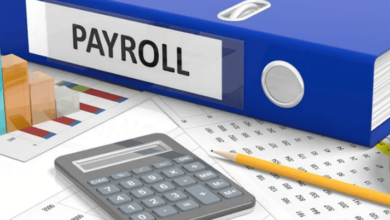 The Benefits of Professional Payroll Services