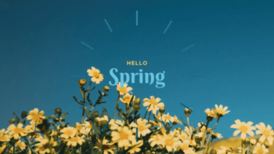 Aesthetic:5g3ytbqgd14= Spring Wallpaper