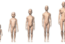 Female:Ef49g__U7yw= Human Body Diagram