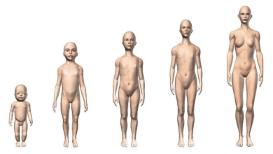 Female:Ef49g__U7yw= Human Body Diagram