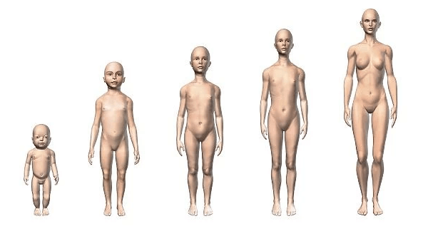 Female:Ef49g__U7yw= Human Body Diagram