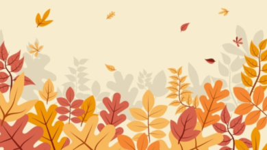 Cute:-Qmtkhgyl9u= Fall Desktop Wallpaper