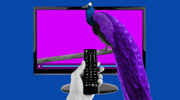 Peacock