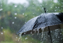 Health Implications of Microplastics in Rainwater What You Should Know