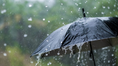 Health Implications of Microplastics in Rainwater What You Should Know