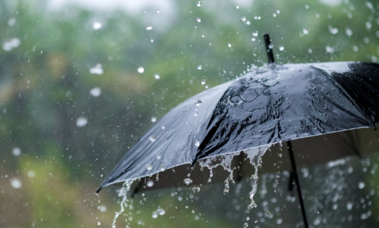 Health Implications of Microplastics in Rainwater What You Should Know
