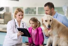 How Animal Hospitals Ensure Safe Anesthesia For Pets