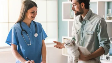 3 Signs Your Pet Needs Immediate Animal Clinic Attention