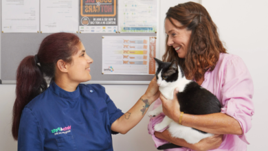 How General Veterinarians Provide Emergency Care When It Matters Most