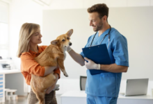 The Connection Between General Veterinary Care And Pet Longevity