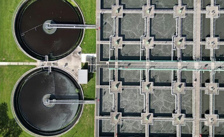 claims management online overview