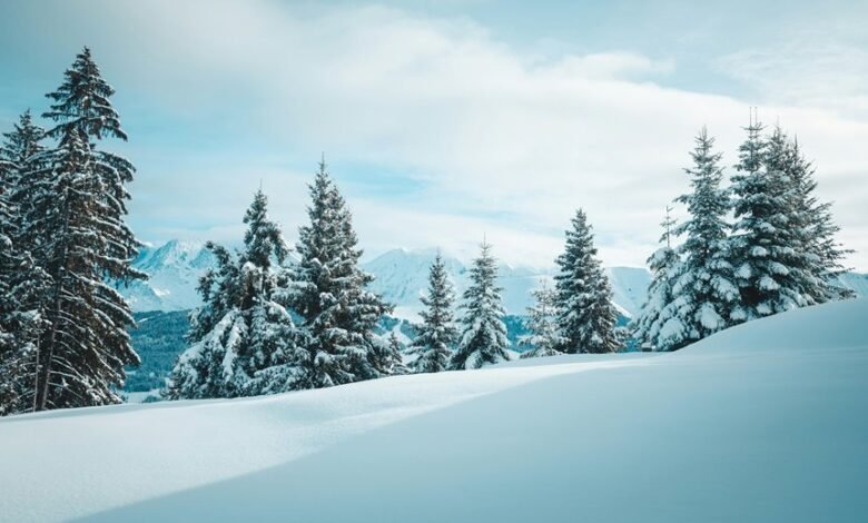 parivrai functionality explained clearly