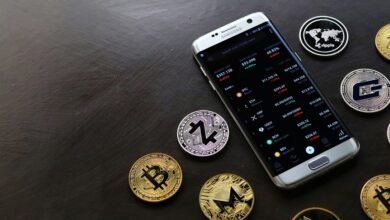 pootenlord coin functionality explained