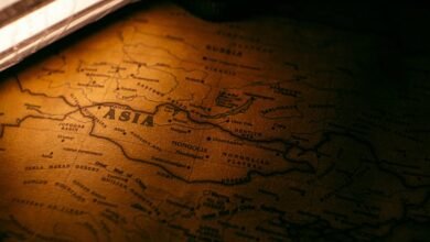 potbelly survey completion guide