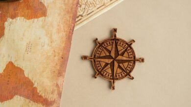 prmovies org guide overview