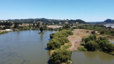 qantas sharepoint information overview