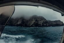 rebahin net functionality explained