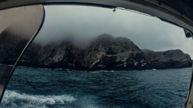 rebahin net functionality explained