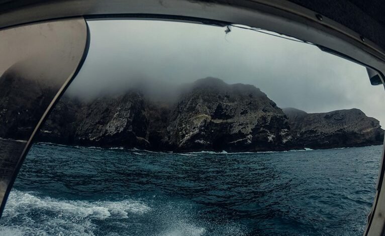 rebahin net functionality explained