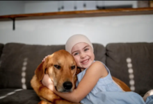 How Animal Hospitals Provide Comfort During Chemotherapy