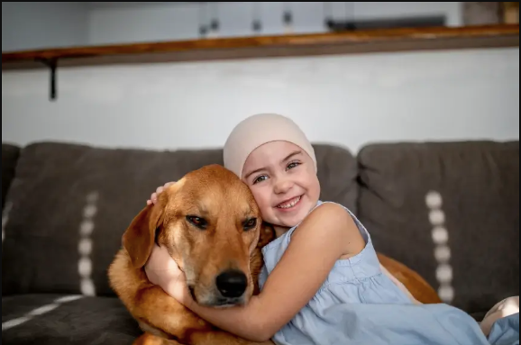 How Animal Hospitals Provide Comfort During Chemotherapy