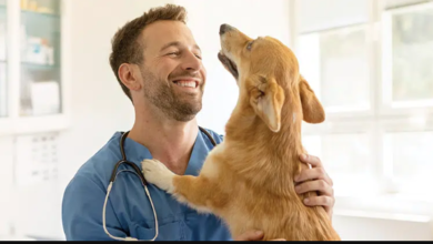 Why Veterinary Services Matter More Than Ever Today