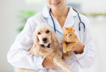 3 Myths About Animal Clinic Services Debunked