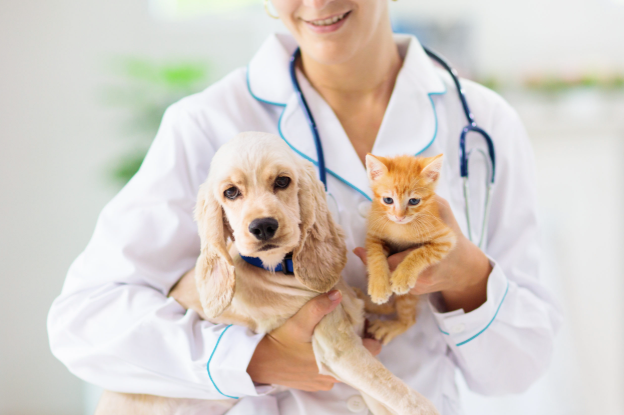 3 Myths About Animal Clinic Services Debunked