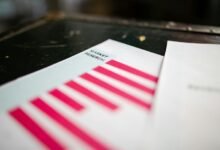 contact information report