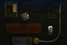 digital fusion networking device