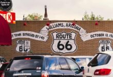 dynamic strategic expansion plan