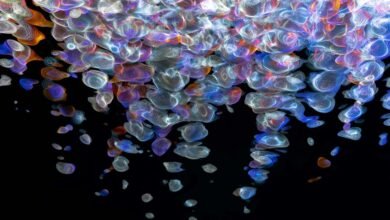 fusion flow apex beam