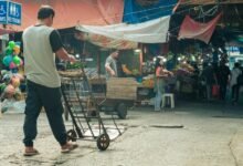 market dynamics of alpha