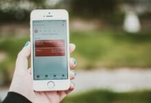 registry and activity monitoring