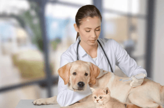 The Role of Animal Hospitals in Driving Veterinary Medical Research