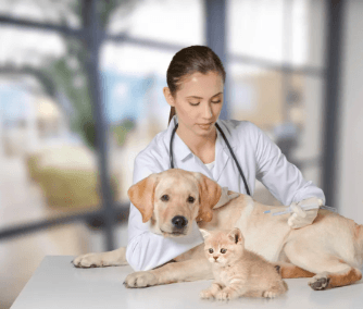 The Role of Animal Hospitals in Driving Veterinary Medical Research