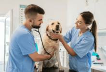 The Role of Animal Hospitals in Driving Veterinary Medical Research