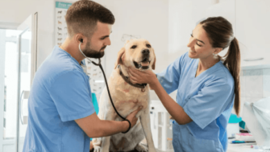 The Role of Animal Hospitals in Driving Veterinary Medical Research
